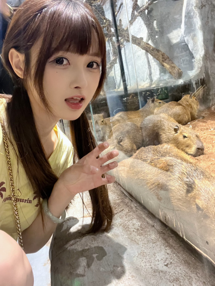 一一 封面